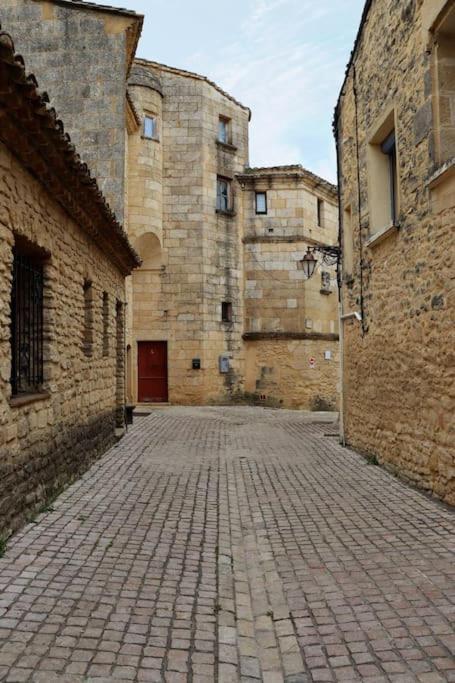 Ferienwohnung Entre Uzes Et Le Pont-Du-Gard Le Logis D'Autrefois Castillon-du-Gard Exterior foto
